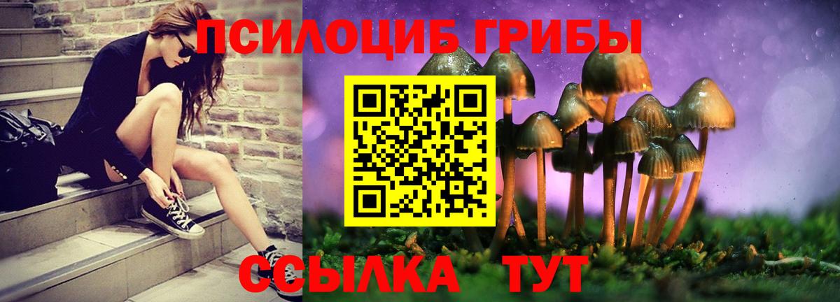 Псилоцибиновые грибы GOLDEN TEACHER  Вход с VPN  продажа наркотиков  Псилоцибиновые грибы мухоморы  Коркино 